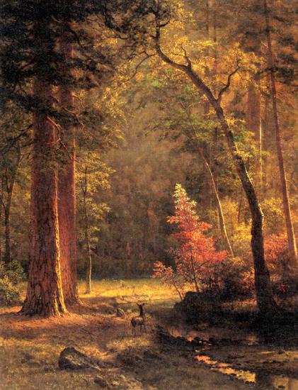 Dogwood by Albert Bierstadt, Albert Bierstadt